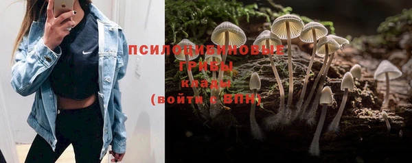 мет Струнино